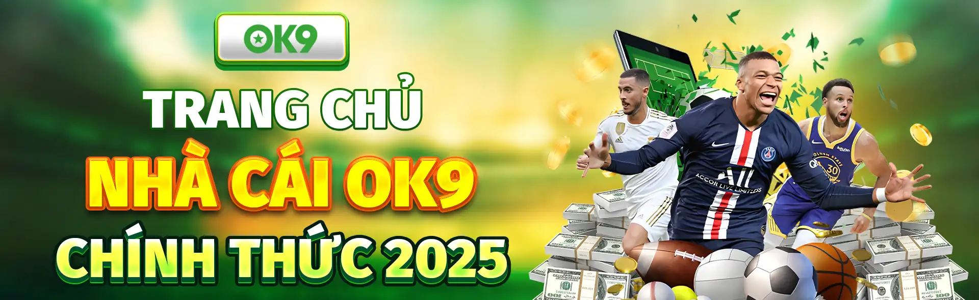 banner ok9 foundation